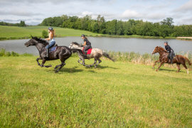 palatsi kartano hotelli ravintola majoitus huoneistot huoneet Puolassa Mazury