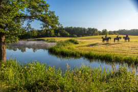 palatsi kartano hotelli ravintola majoitus huoneistot huoneet Puolassa Mazury